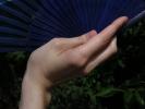 <img0*100:stuff/z/147496/Hands%2520Holding%2520Fans.1/P8030051.JPG>