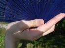 <img0*100:stuff/z/147496/Hands%2520Holding%2520Fans.1/P8030052.JPG>