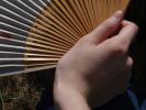 <img0*100:stuff/z/147496/Hands%2520Holding%2520Fans.1/P8030070.JPG>