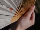 <img0*100:stuff/z/147496/Hands%2520Holding%2520Fans.1/P8030071.JPG>