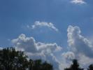 <img0*100:stuff/z/147496/I%2520see%2520skies%2520of%2520blue/P8030034.JPG>