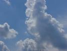 <img0*100:stuff/z/147496/I%2520see%2520skies%2520of%2520blue/P8030035.JPG>