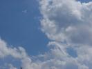 <img0*100:stuff/z/147496/I%2520see%2520skies%2520of%2520blue/P8030036.JPG>