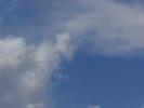 <img0*100:stuff/z/147496/I%2520see%2520skies%2520of%2520blue/P8030037.JPG>
