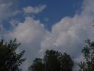 <img0*100:stuff/z/147496/I%2520see%2520skies%2520of%2520blue/P8030038.JPG>