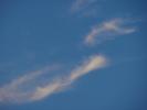 <img0*100:stuff/z/147496/I%2520see%2520skies%2520of%2520blue/P8030049.JPG>