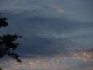 <img0*100:stuff/z/147496/I%2520see%2520skies%2520of%2520blue/P8030051.JPG>