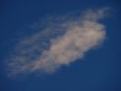 <img0*100:stuff/z/147496/I%2520see%2520skies%2520of%2520blue/P8030052.JPG>