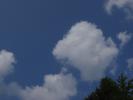 <img0*100:stuff/z/147496/I%2520see%2520skies%2520of%2520blue/P8040064.JPG>