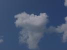 <img0*100:stuff/z/147496/I%2520see%2520skies%2520of%2520blue/P8040065.JPG>