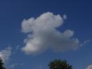 <img0*100:stuff/z/147496/I%2520see%2520skies%2520of%2520blue/P8040073.JPG>