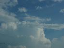 <img0*100:stuff/z/147496/I%2520see%2520skies%2520of%2520blue/P8040081.JPG>