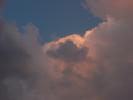 <img0*100:stuff/z/147496/I%2520see%2520skies%2520of%2520blue/P8040086.JPG>