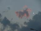 <img0*100:stuff/z/147496/I%2520see%2520skies%2520of%2520blue/P8040088.JPG>
