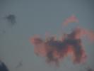 <img0*100:stuff/z/147496/I%2520see%2520skies%2520of%2520blue/P8040089.JPG>