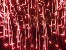 <img0*100:stuff/z/147496/Shaken%252c%2520not%2520stirred%2520FIREWORKS.1/P7040051.JPG>