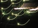 <img0*100:stuff/z/147496/Shaken%252c%2520not%2520stirred%2520FIREWORKS.1/P7040072.JPG>