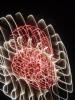 <imgl0*100:stuff/z/147496/Shaken%252c%2520not%2520stirred%2520FIREWORKS.1/P7040076.JPG>