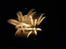 <img0*100:stuff/z/147496/Shaken%252c%2520not%2520stirred%2520FIREWORKS.1/P7040079.JPG>