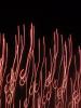 <imgl0*100:stuff/z/147496/Shaken%252c%2520not%2520stirred%2520FIREWORKS.1/P7040096.JPG>