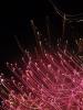 <imgr0*100:stuff/z/147496/Shaken%252c%2520not%2520stirred%2520FIREWORKS.1/P7040120.JPG>