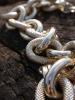 <imgr0*100:stuff/z/147496/Thick%2520Chain%2520Necklace.1/P8040089.JPG>