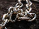 <img0*100:stuff/z/147496/Thick%2520Chain%2520Necklace.1/P8040090.JPG>