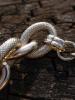 <imgr0*100:stuff/z/147496/Thick%2520Chain%2520Necklace.1/P8040091.JPG>