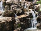 <img0*100:stuff/z/147496/Waterfall%2520at%2520Rose%2520Garden/P7040024.JPG>