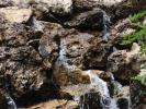<img0*100:stuff/z/147496/Waterfall%2520at%2520Rose%2520Garden/P7040026.JPG>