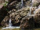 <img0*100:stuff/z/147496/Waterfall%2520at%2520Rose%2520Garden/P7040027.JPG>