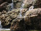 <img0*100:stuff/z/147496/Waterfall%2520at%2520Rose%2520Garden/P7040029.JPG>