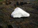 <img0*100:stuff/z/147496/White%2520Rocks/P6220141.JPG>