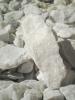 <imgr0*100:stuff/z/147496/White%2520Rocks/P6220144.JPG>