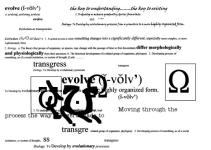 <img0*150:stuff/z/15082/Concept%2520Art%2520Works/evolution.jpg>
