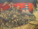 <img0*100:stuff/z/151305/Textures%2520by%2520sequeena_rae/Chinese_Texture_1_by_Sequeena_stock.jpg>