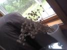 <img0*100:stuff/z/153213/Stephen%2520Misc%2520Photos/2011-07-27_16-40-43_830.jpg>
