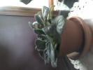 <img0*100:stuff/z/153213/Stephen%2520Misc%2520Photos/2011-07-27_16-41-10_290.jpg>