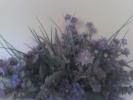 <img0*100:stuff/z/153213/Stephen%2520Misc%2520Photos/2011-07-27_16-42-46_417.jpg>