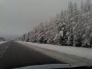 <img0*100:stuff/z/153213/Stephen%2520Nature%2520Photos/2011-11-11_09-02-07_517.jpg>