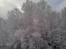 <img0*100:stuff/z/153213/Stephen%2520Nature%2520Photos/2011-11-11_09-08-55_557.jpg>