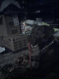 <img200*0:stuff/z/153213/Stephen%2527s%2520Dog%2520Pictures/Reese%20%2803-04-10%29.jpg>
