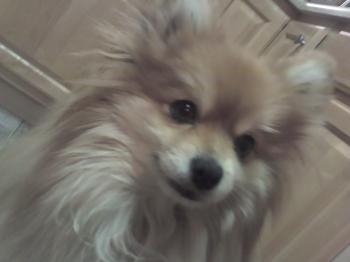 <img350*0:stuff/z/153213/Stephen%2527s%2520Phone%2520Pictures/2011-01-10_01-57-31_976.jpg>