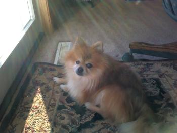<img350*0:stuff/z/153213/Stephen%2527s%2520Phone%2520Pictures/2011-01-18_15-00-12_522.jpg>