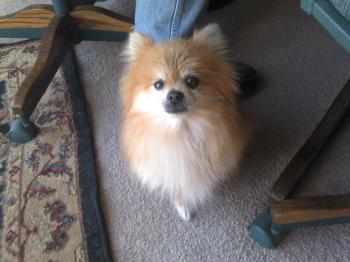 <img350*0:stuff/z/153213/Stephen%2527s%2520Phone%2520Pictures/2011-01-18_15-01-14_858.jpg>