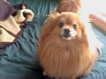 <img350*0:stuff/z/153213/Stephen%2527s%2520Phone%2520Pictures/2011-03-02_14-22-31_659_KPT.jpg>
