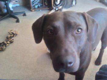<img350*0:stuff/z/153213/Stephen%2527s%2520Phone%2520Pictures/2011-04-01_13-08-44_210_KPT.jpg>