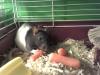<img100*0:stuff/z/153213/Stephen%2527s%2520Phone%2520Pictures/2011-06-06_00-23-39_562.jpg>