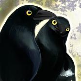 <img0*167:http://elftown.heddate.com/stuff/z/15586/kaipagecrap/Pied_Currawong_by_blackbirdkat.jpg>