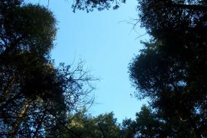 <img300*0:stuff/z/15695/Yuriona%2520Stock%2520Set%25201/IM001243.jpg>